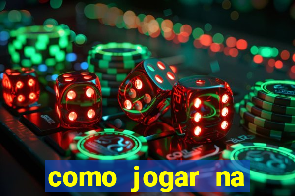 como jogar na lotinha do jogo do bicho